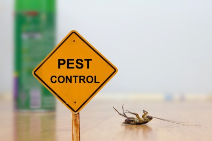 Pest Contol in North Cheam, Stonecot Hill, SM3. Call Now 020 8166 9746